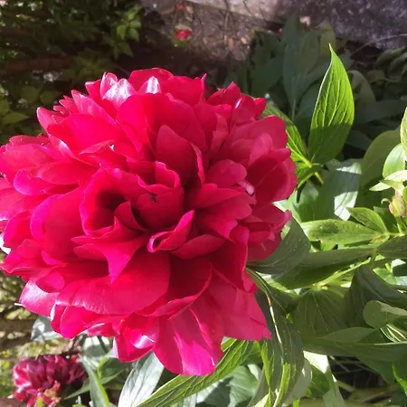 Rathmore House Отель типа 